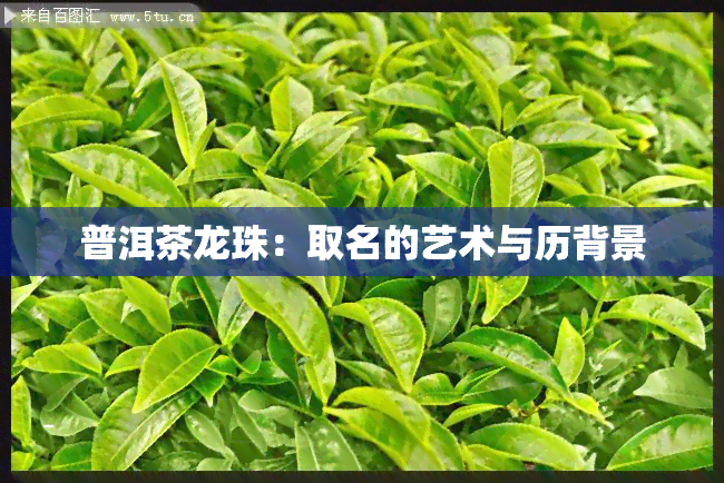 普洱茶龙珠：取名的艺术与历背景