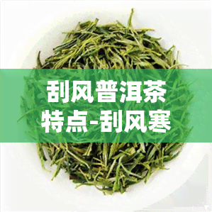 刮风普洱茶特点-刮风寒普洱茶特点