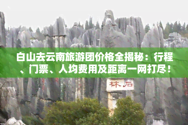 白山去云南旅游团价格全揭秘：行程、门票、人均费用及距离一网打尽！