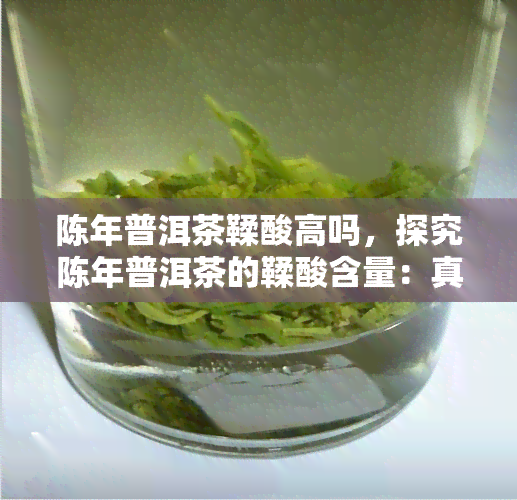 陈年普洱茶鞣酸高吗，探究陈年普洱茶的鞣酸含量：真相大揭秘