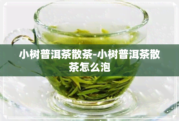 小树普洱茶散茶-小树普洱茶散茶怎么泡