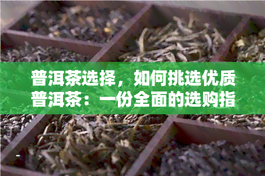 普洱茶选择，如何挑选优质普洱茶：一份全面的选购指南