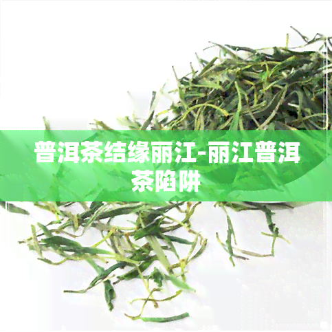 普洱茶结缘丽江-丽江普洱茶陷阱