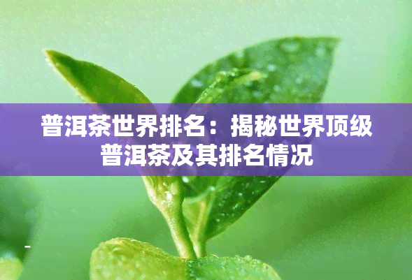 普洱茶世界排名：揭秘世界顶级普洱茶及其排名情况