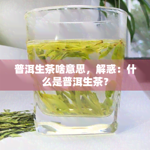 普洱生茶啥意思，解惑：什么是普洱生茶？