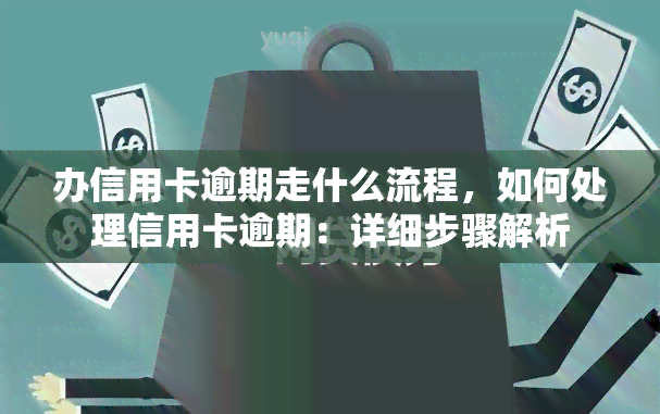 办信用卡逾期走什么流程，如何处理信用卡逾期：详细步骤解析