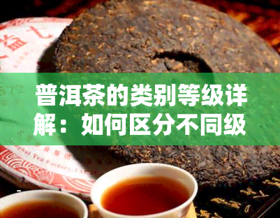 普洱茶的类别等级详解：如何区分不同级别的普洱茶？