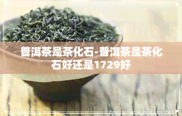 普洱茶是茶化石-普洱茶是茶化石好还是1729好