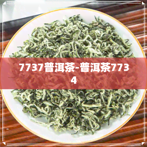 7737普洱茶-普洱茶7734