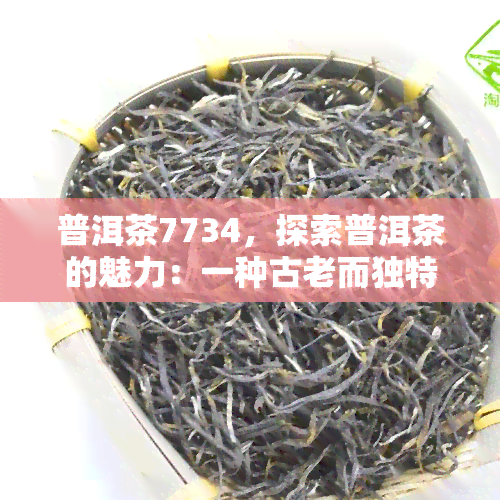 普洱茶7734，探索普洱茶的魅力：一种古老而独特的茶叶品种