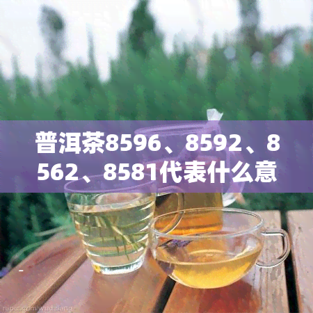 普洱茶8596、8592、8562、8581代表什么意思？全解