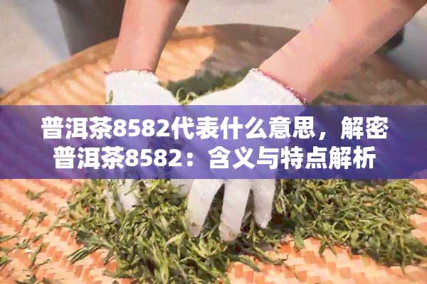 普洱茶8582代表什么意思，解密普洱茶8582：含义与特点解析