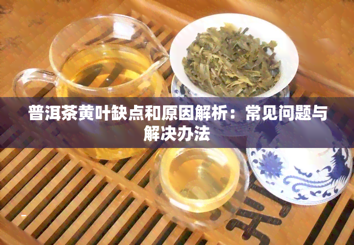 普洱茶黄叶缺点和原因解析：常见问题与解决办法