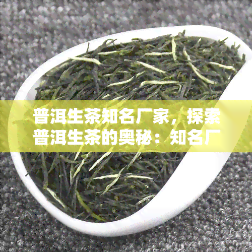 普洱生茶知名厂家，探索普洱生茶的奥秘：知名厂家揭秘优质茶叶生产过程