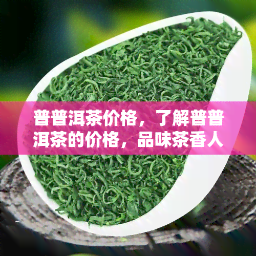 普普洱茶价格，了解普普洱茶的价格，品味茶香人生