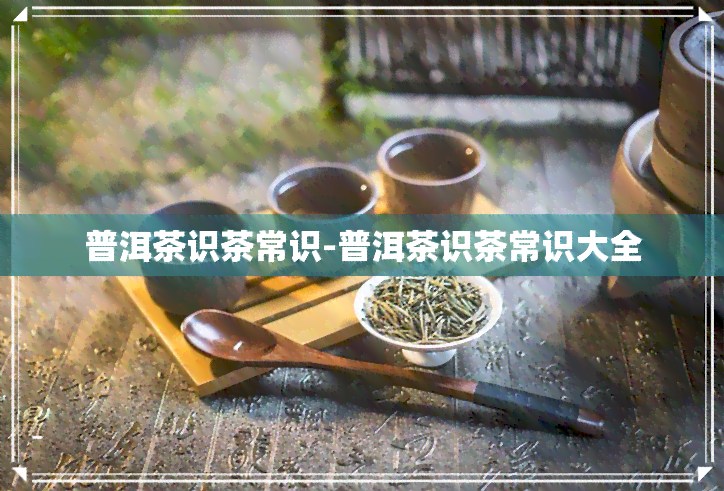 普洱茶识茶常识-普洱茶识茶常识大全