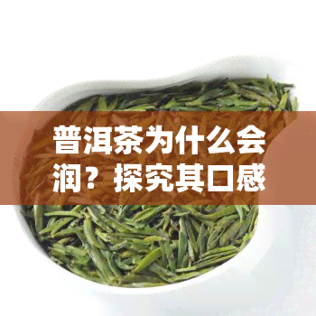 普洱茶为什么会润？探究其口感润的原因