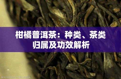 柑橘普洱茶：种类、茶类归属及功效解析