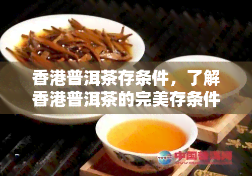 普洱茶存条件，了解普洱茶的完美存条件