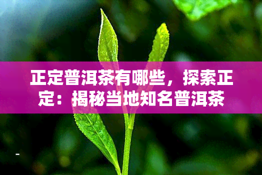 正定普洱茶有哪些，探索正定：揭秘当地知名普洱茶