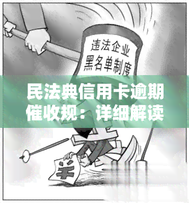 民法典信用卡逾期规：详细解读与法律规定