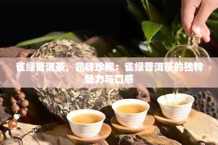 雀绿普洱茶，品味珍稀：雀绿普洱茶的独特魅力与口感