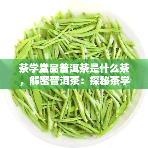 茶学堂品普洱茶是什么茶，解密普洱茶：探秘茶学堂的品鉴之旅