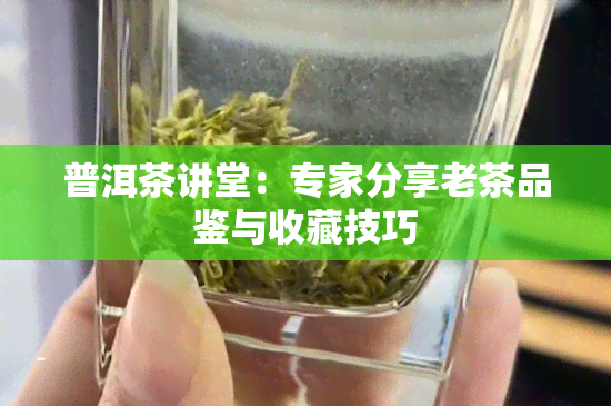 普洱茶讲堂：专家分享老茶品鉴与收藏技巧