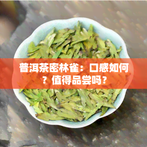 普洱茶密林雀：口感如何？值得品尝吗？