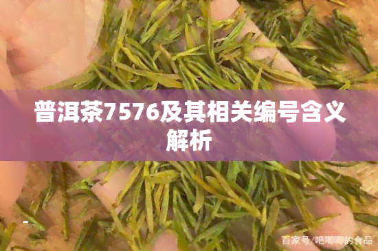 普洱茶7576及其相关编号含义解析