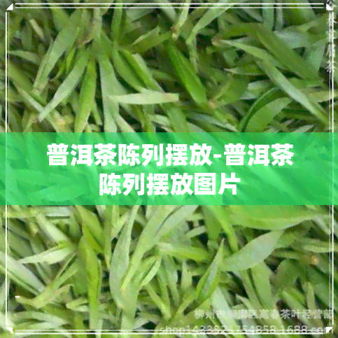 普洱茶陈列摆放-普洱茶陈列摆放图片