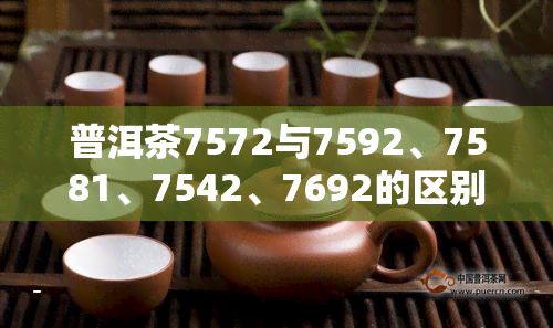 普洱茶7572与7592、7581、7542、7692的区别及好坏比较