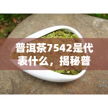 普洱茶7542是代表什么，揭秘普洱茶7542：它代表着什么？