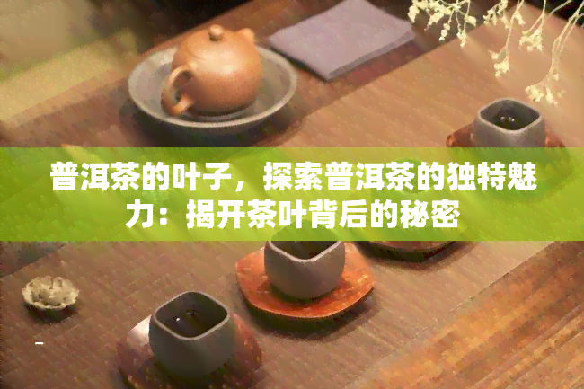 普洱茶的叶子，探索普洱茶的独特魅力：揭开茶叶背后的秘密