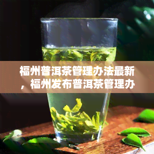 福州普洱茶管理办法最新，福州发布普洱茶管理办法最新版，规市场秩序保障消费者权益