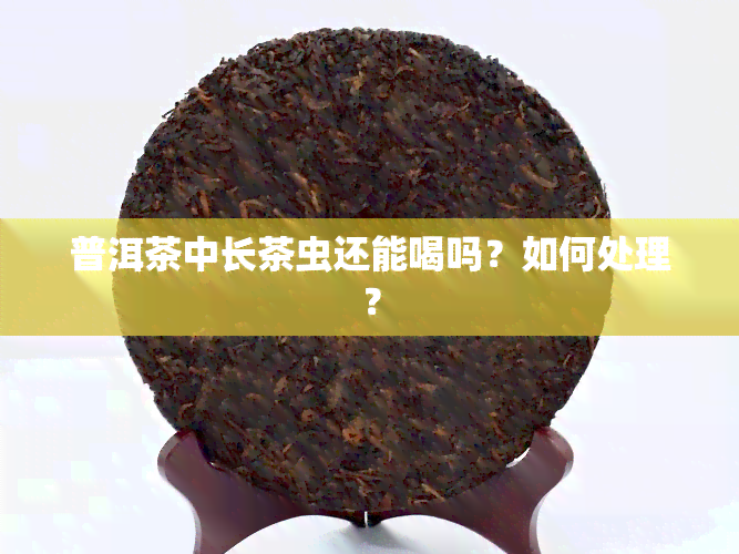 普洱茶中长茶虫还能喝吗？如何处理？