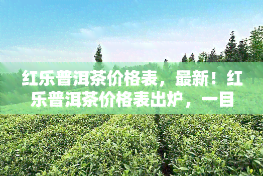 红乐普洱茶价格表，最新！红乐普洱茶价格表出炉，一目了然！