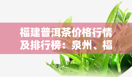 福建普洱茶价格行情及排行榜：泉州、福今等茶叶价格一览