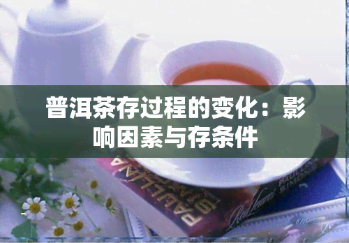 普洱茶存过程的变化：影响因素与存条件