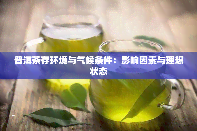 普洱茶存环境与气候条件：影响因素与理想状态