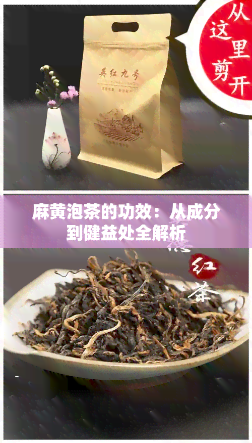 麻黄泡茶的功效：从成分到健益处全解析