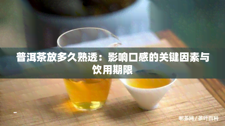 普洱茶放多久熟透：影响口感的关键因素与饮用期限