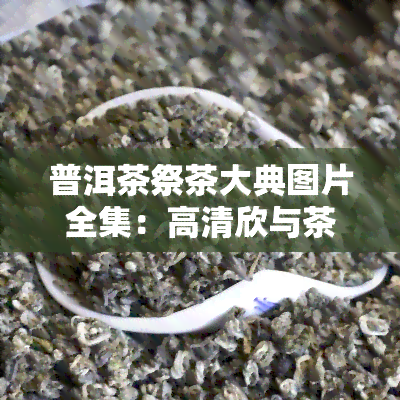 普洱茶祭茶大典图片全集：高清欣与茶宴