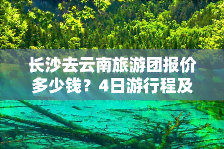 长沙去云南旅游团报价多少钱？4日     程及详细费用全揭秘！