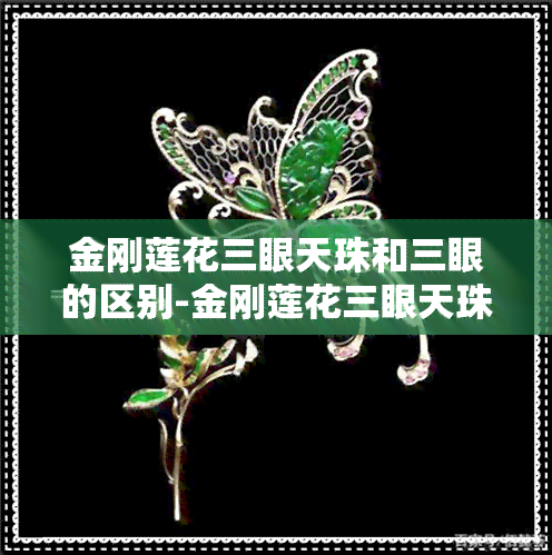 金刚莲花三眼天珠和三眼的区别-金刚莲花三眼天珠和三眼的区别是什么