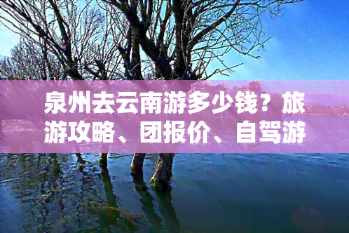 泉州去云南游多少钱？旅游攻略、团报价、自驾游路线及隔离政策全解析！