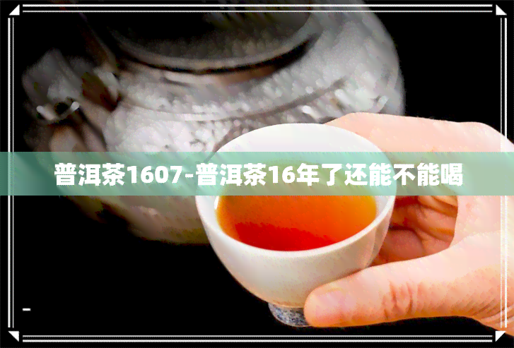 普洱茶1607-普洱茶16年了还能不能喝