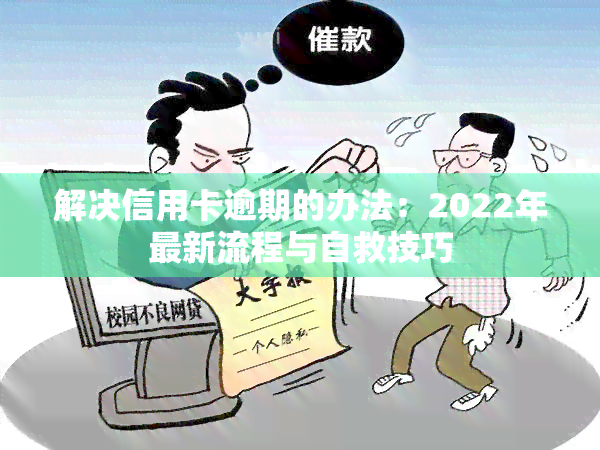 解决信用卡逾期的办法：2022年最新流程与自救技巧