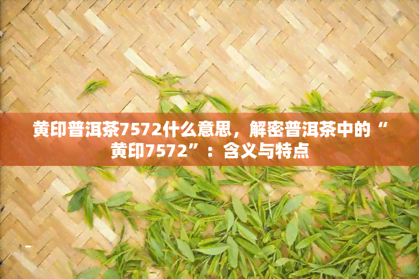 黄印普洱茶7572什么意思，解密普洱茶中的“黄印7572”：含义与特点