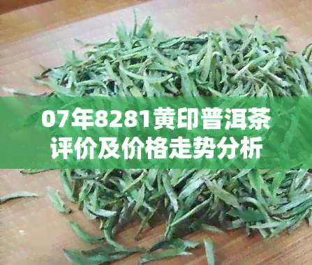 07年8281黄印普洱茶评价及价格走势分析